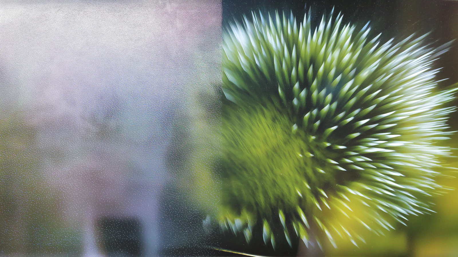 Urban Utility Meets Outdoor Spirit