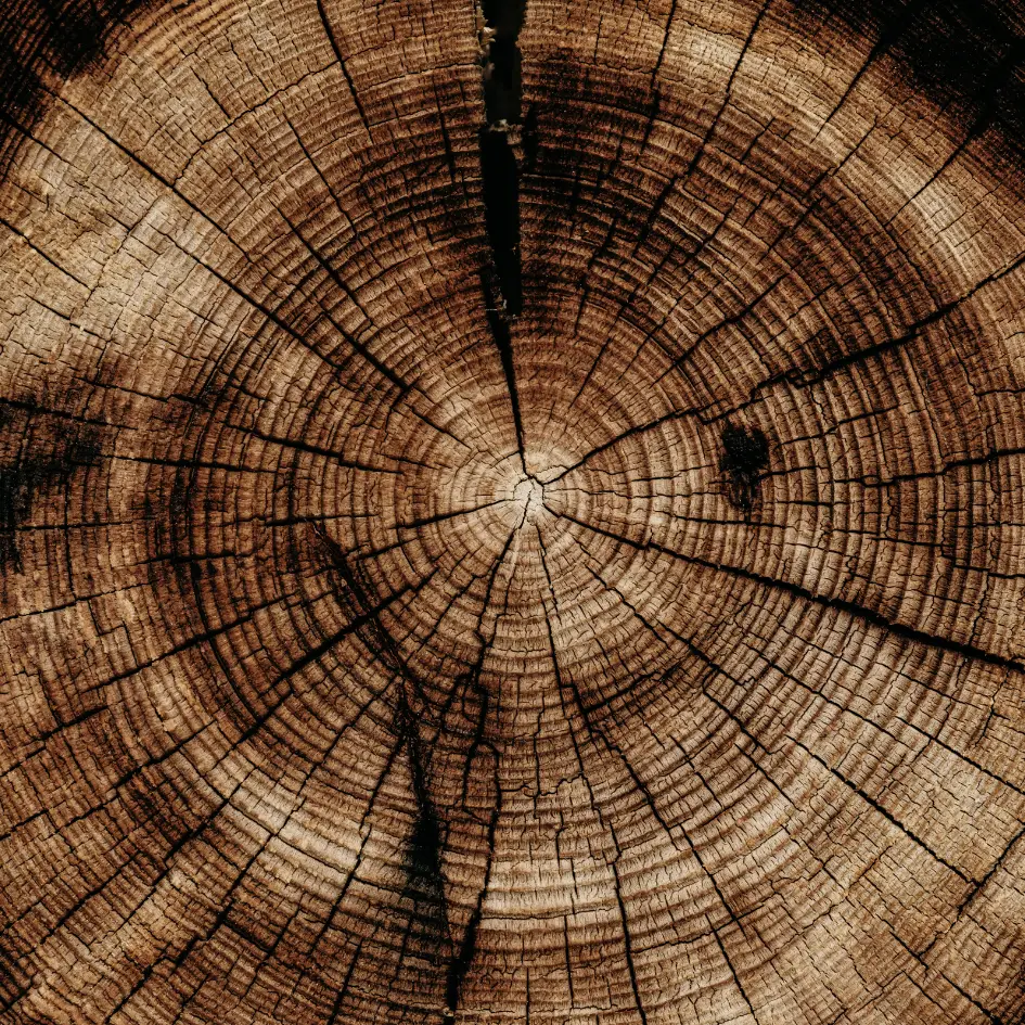 Sandalwood Tin Candle - Image 4