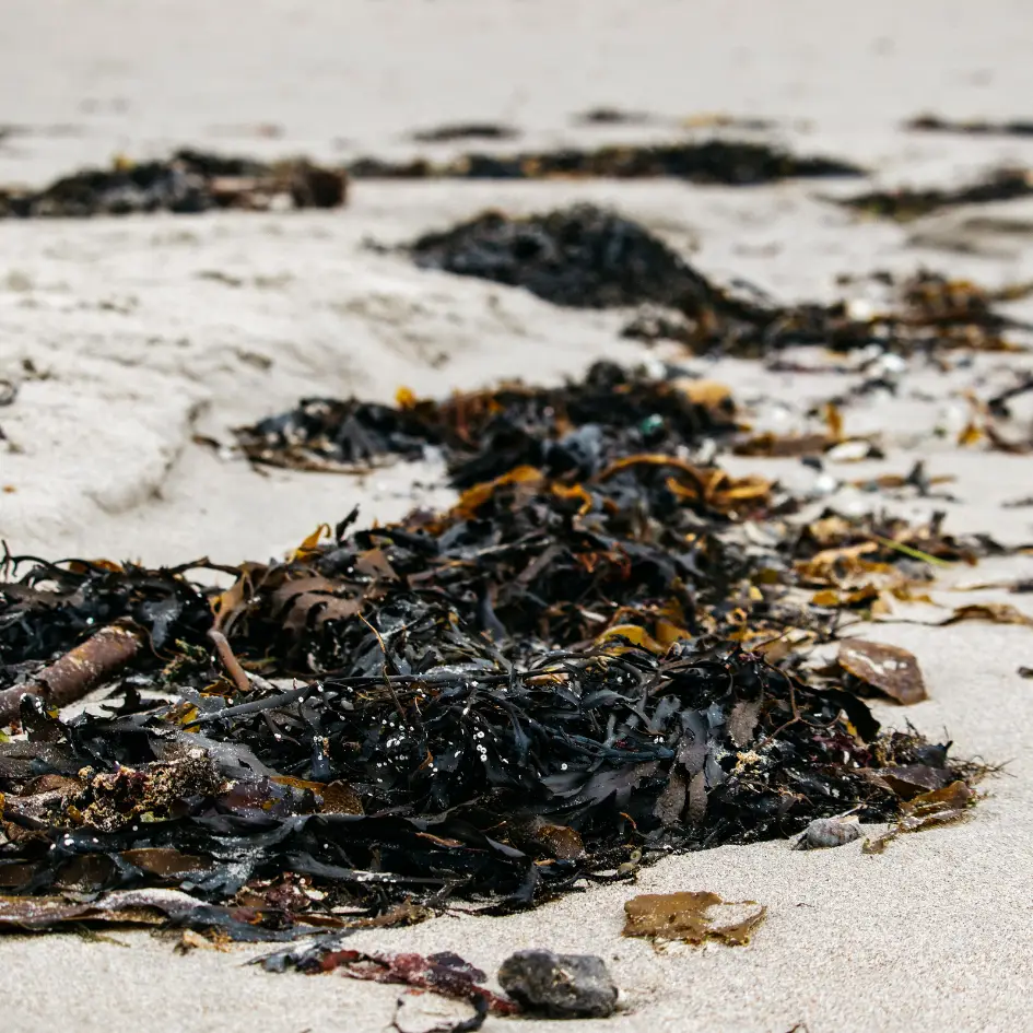 Sea Salt Tin Candle - Image 4